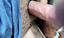 Rainy Day Car Head - Whoa, Wanna Join This Wild Ride?!