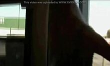 amateur blowjobs in wild blowbang session