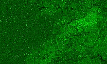 Fisting Myself with Intense Close-Up Pussy Stretching