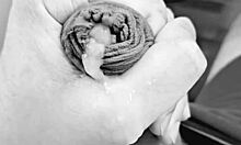 Novinho Dotado Gozando Gostoso With Exotic Brazilian Twink