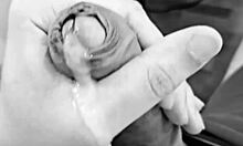 Novinho Dotado Gozando Gostoso With Exotic Brazilian Twink