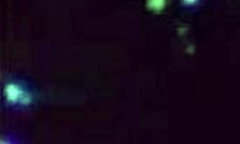 i get so horny watching hot teen friends fuck in bedroom