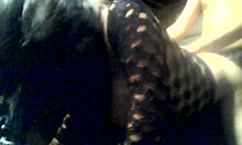 young chubby navajo tiff gets doggystyled with her big tits bouncing