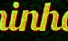 Vagninho And Holy Rubi Boldly Piss And Flash Ass In Public Park