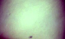 i'm fuckin my chubby spanish girlfriend doggystyle and cummin all over her big ass