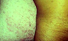 Wow, naughty bears in a hot satisfying orgy scene