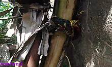 Mature Gay Guys With Huge Cocks