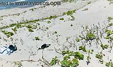 teasing a stranger, she didn't expect that anal creampie