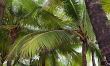 Public Pickup - Took A Girl From Her Cuckold Husband From The Beach To Hotel Room And FUCKED Her!