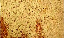 I, uh, slide this slut’s bikini over to bang her ass in pool