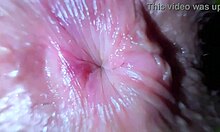 wtf my doctor checks body temp with tongue in my tight hole