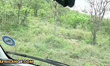 African Girlfriend Sucks White Cock After Safari Date