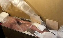 My new sexy girlfriend Alice arrived as a realistic sex doll. She's hot and ready for wild fun.