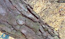 Caught Looking for Cum Spot in Wet Pussy Outdoors