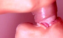 Japanese Amateur Blowjob Story in Raw Close-Up Action