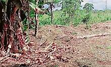 See My Natural Body Now!