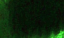 Hella swallows a mix of cum in this compilation