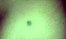 Bbc, can you shove it all in my tight ass?