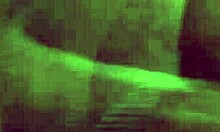 why did these college friends decide to film their threesome quickie?