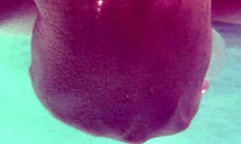 a blonde with blue eyes gets creampied underwater while using dildo