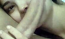 submissive wife debora prado gives sloppy blowjob every night before bed