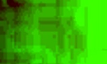 i capture some amateur moments in my homemade videos.