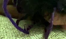 take it, tattooed latina slut, rough breeding session