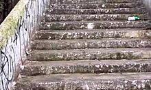 Patricinha With Wet Pussy Climbs Hill For Public Street Sex With Amateurs