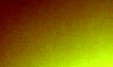 Suck my hard cock, slut