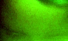 Suck my hard cock, slut