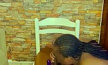 Sundaydogood614 - update 954 - vid 20250408 193842 - apr 08 2025