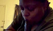 Chubby Amateur Deepthroats Big Black Cock with Sucking Skills in USA Scene