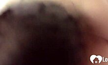 هي تبتلع زبي مباشرة بعد الحلاقة في الحمام