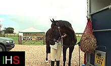 Hot Girl Fucked And Ass Fucked Properly With Big Cock