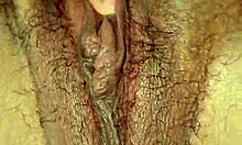 BBW latina poses hairy body in personal view