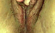 BBW latina poses hairy body in personal view