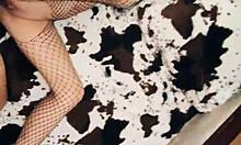 beautiful milf wife, wanna try anal in stockings?