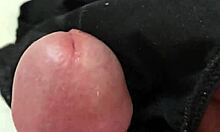 Put My Dick On My Girlfriend Dirty Panties