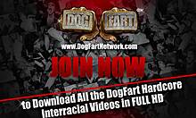 Hey, how do Sarah, Anissa, and Melissa handle huge black cocks?