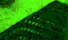 Steph's amateur adventure in Dallas