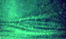 Wife with big ass swings with prostitutes 😍