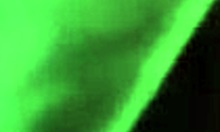 Tera Playing with a Friend in a Fun Game