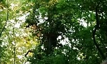 2025 05 01 森林女奴隶荡妇