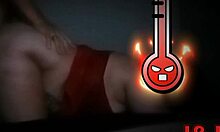 Latina amateur poses playfully on all fours for her partner