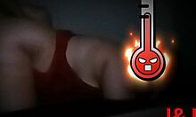 Latina amateur poses playfully on all fours for her partner