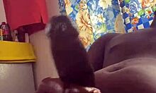 those horny bbc students jerking off after class, wanting to fuck the teacher