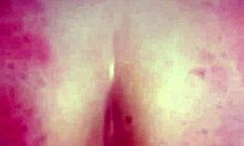 Latina Amateur Sucks Then Takes It In Ass