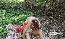 mature women enjoy a quiet outdoor picnic in the forest