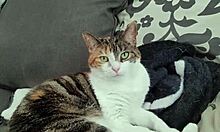 Snippet Compilation 2023 Recap With Homemade Highlights