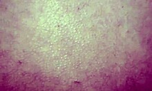 Ebony girl takes anal banging with big tits